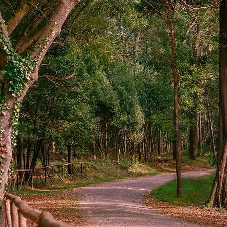 Apartamento Sotto Mayor