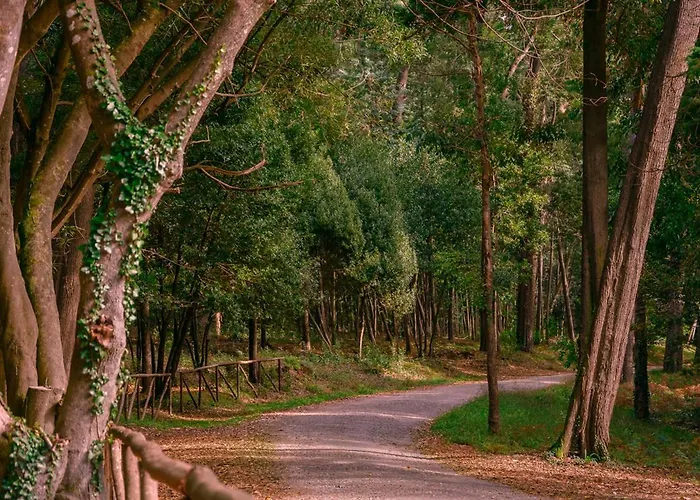 Appartement Sotto Mayor